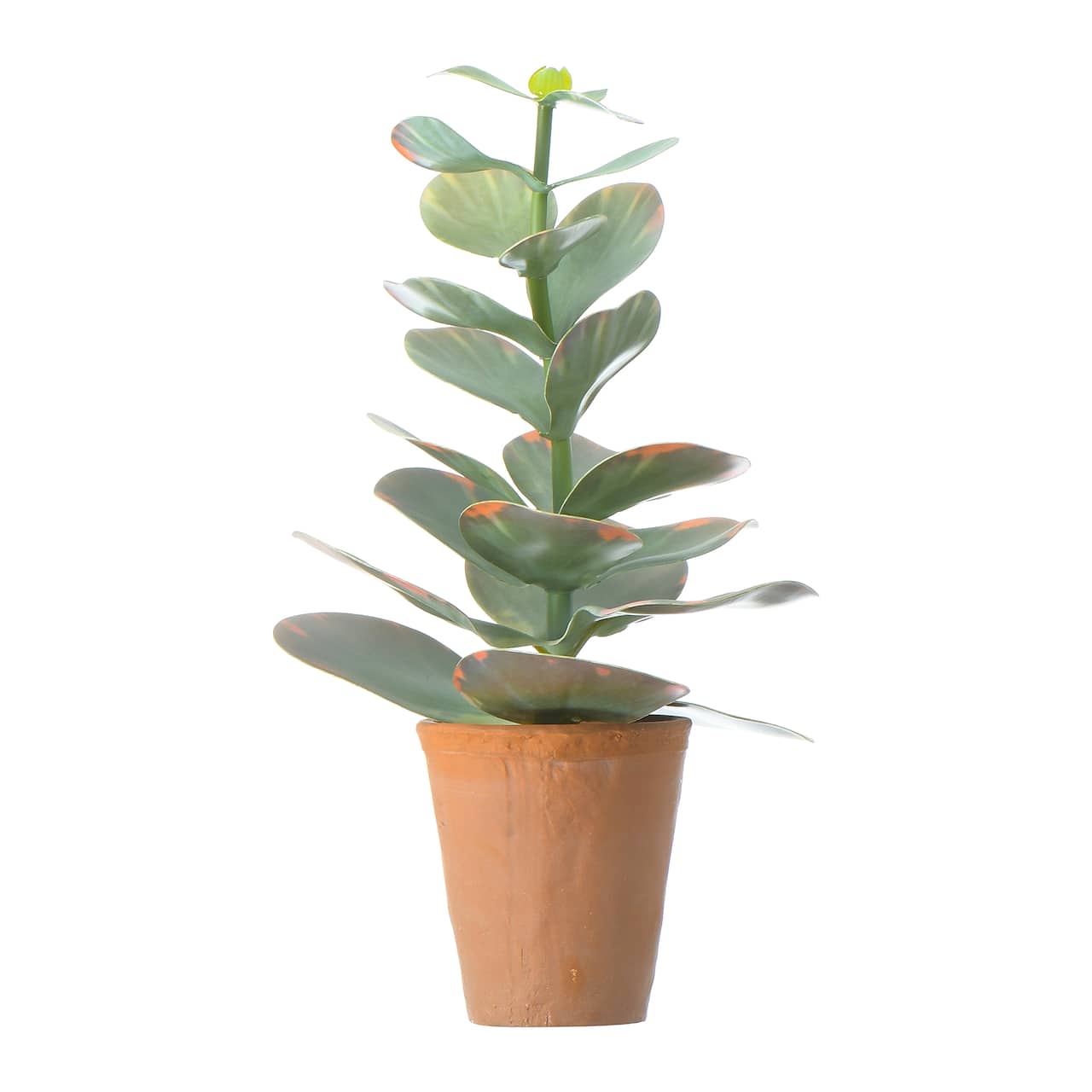 Hello Honey® 18" Faux Succulent in Terra Cotta Colored Pot